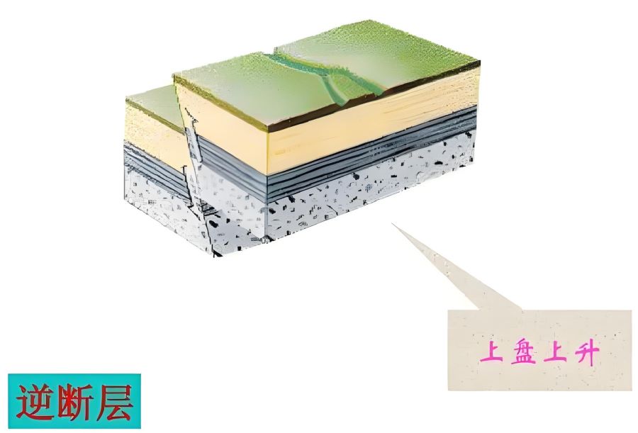 什么是逆斷層？逆斷層的特點